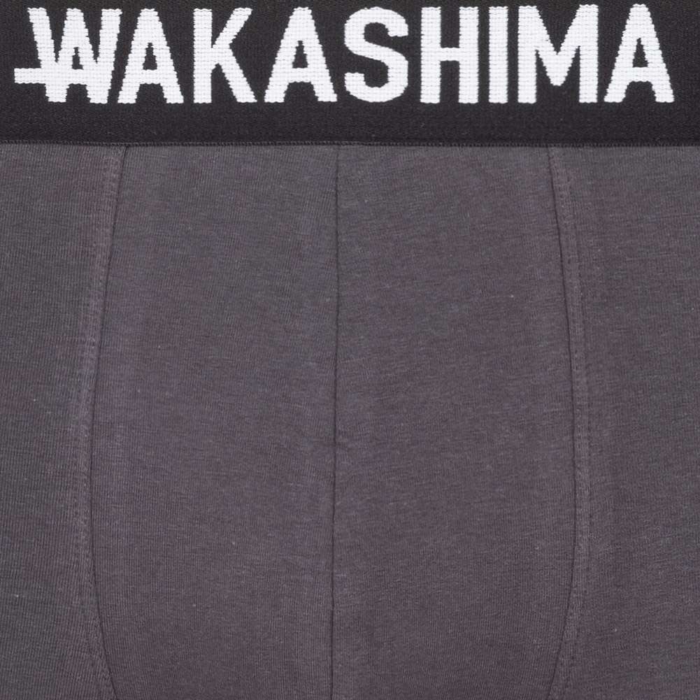 HIDETOSHI WAKASHIMA 