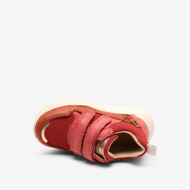 pan tex brick - Rot