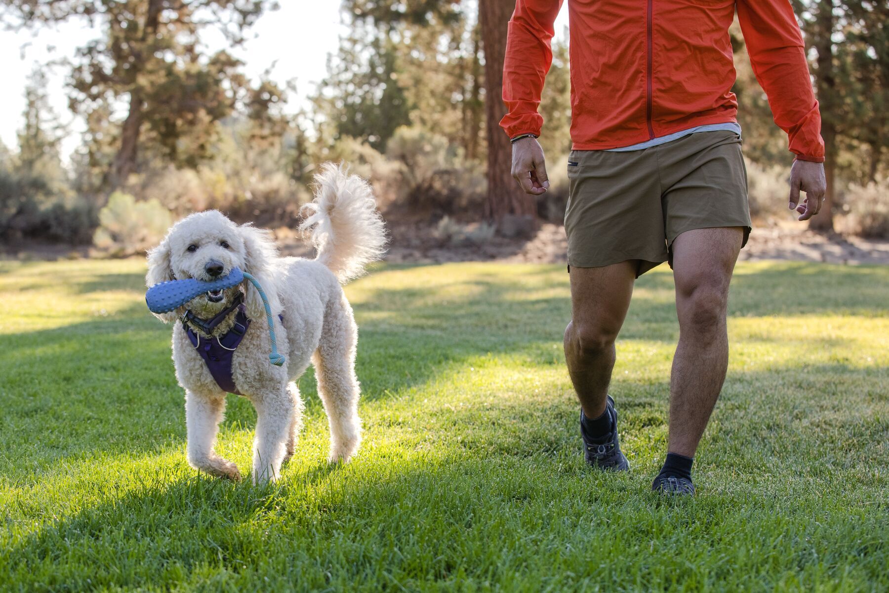 Ruffwear Frisbees & Wurfspielzeug Ruffwear Gourdo™ Spielzeug S grün