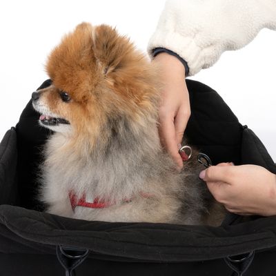 Nomad Tales Blush Autositz für Hunde, ebony