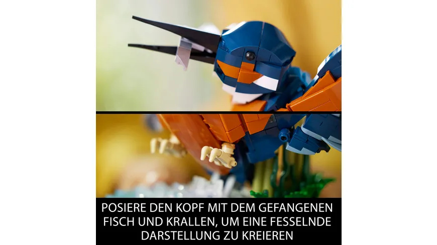 LEGO Icons 10331 Eisvogel