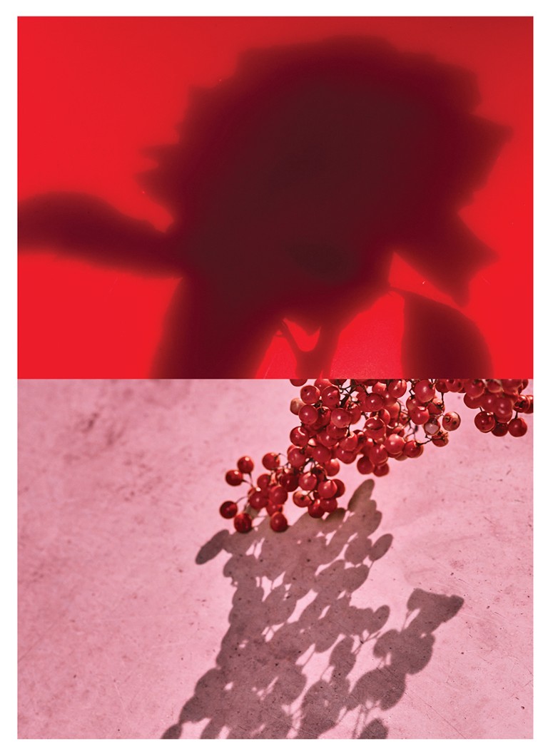 Refil za parfemsku vodu Dries Van Noten Raving Rose