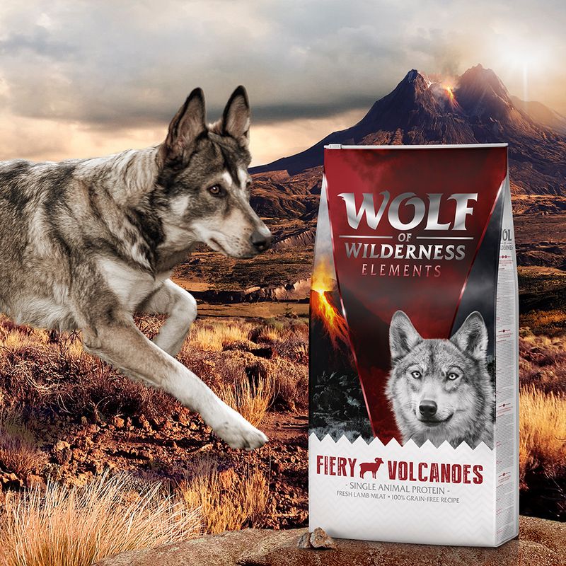 Wolf of Wilderness 'Fiery Volcanoes' - Lamm