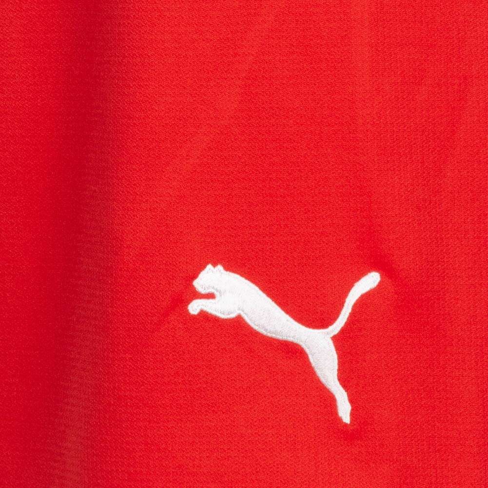 PUMA V5.06 Damen Trainings Shorts 700283-02