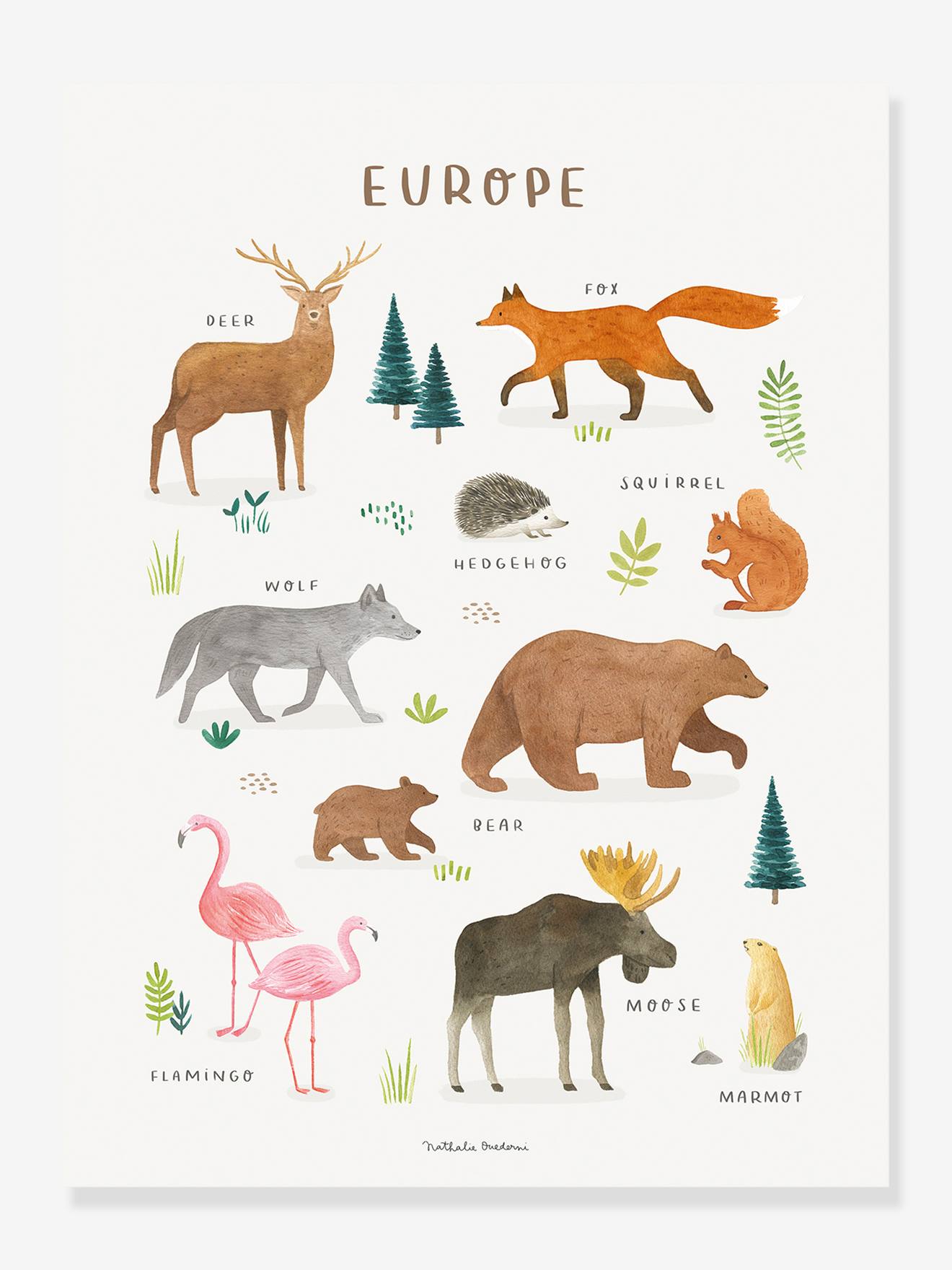 Affiche Animaux d'Europe Living Earth LILIPINSO marron