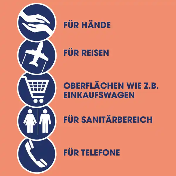 2in1 Desinfektions-Tücher Reisegröße