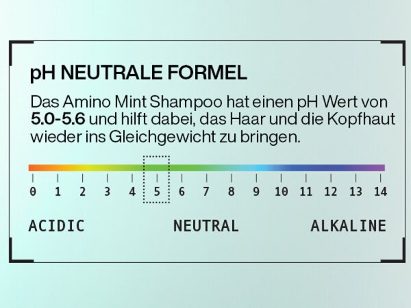Redken Scalp Amino Mint Shampoo Shampoo