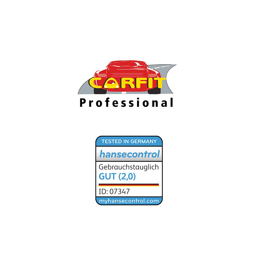 Carfit Professional Insektenentferner Spray