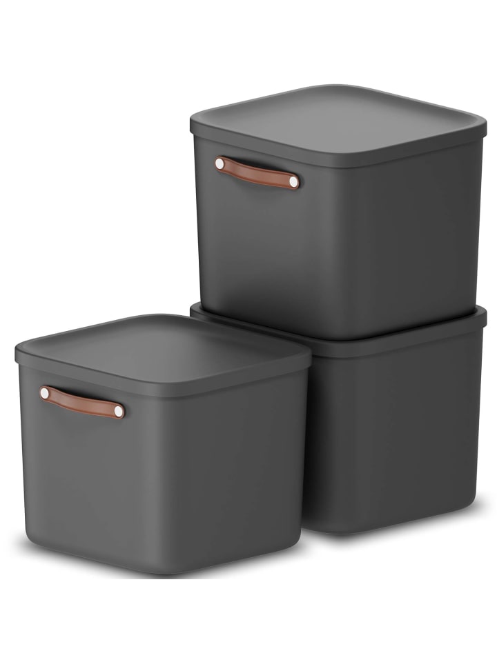 Rotho 3er-Set Kiste mit Deckel Maloja 40l in Holzkohle schwarz ged. günstig kaufen onesize