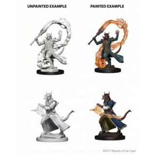 Tiefling Male Sorcerer: Nolzurs Marvelous Unpainted Minis