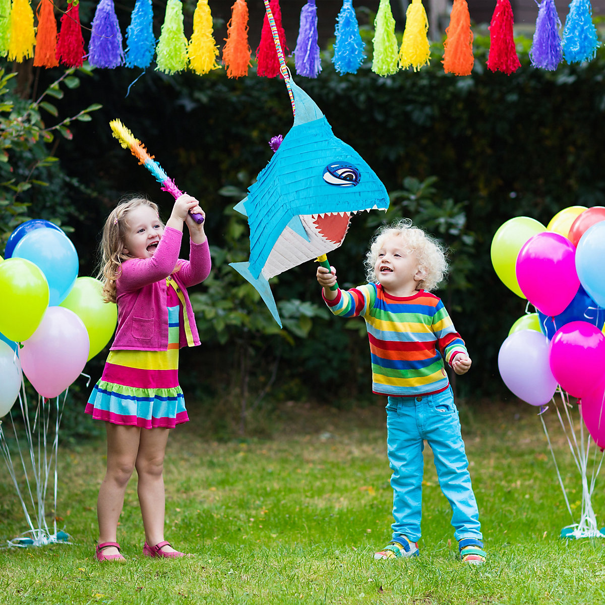 Hai Pinata