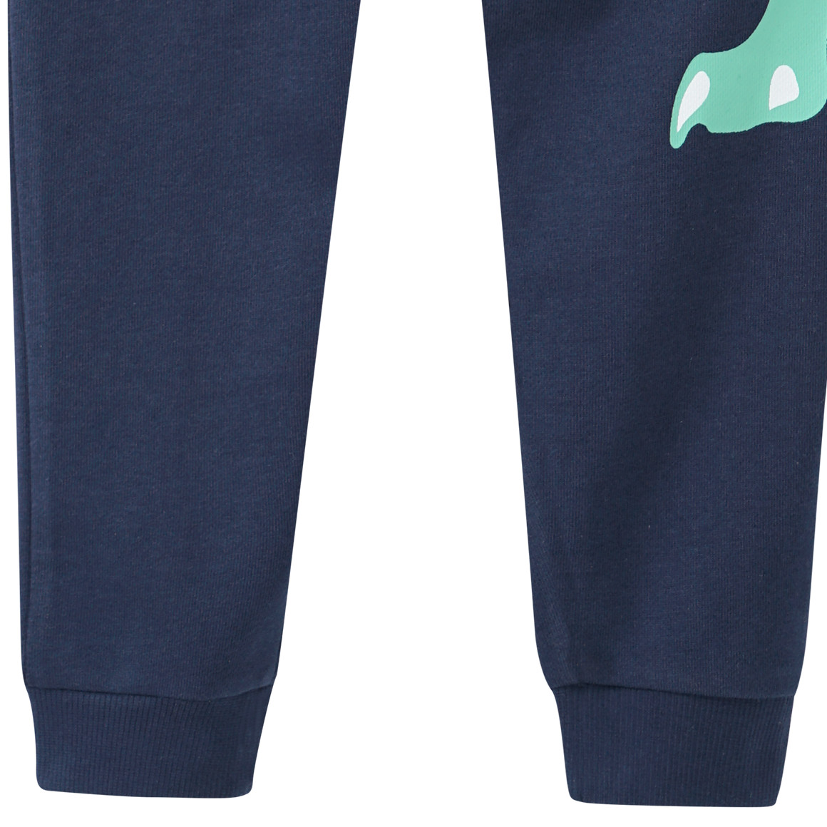 Jungen Jogginghose mit Dino-Print