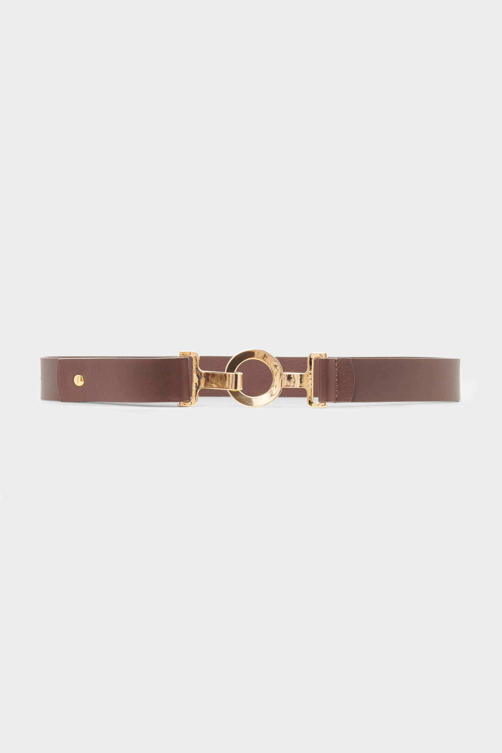 ceinture sam 100% cuir marron fonce femme
