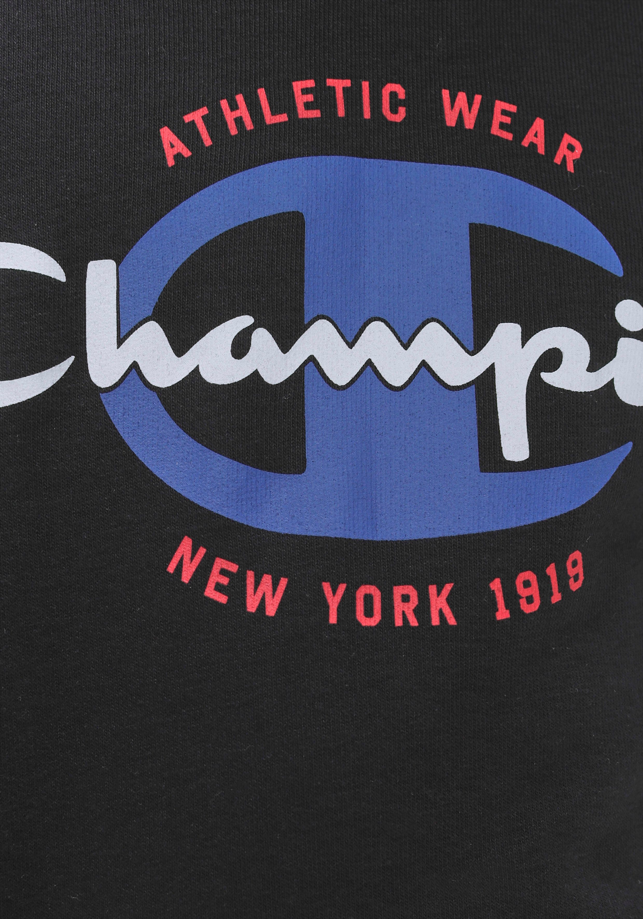 Champion Kapuzensweatshirt