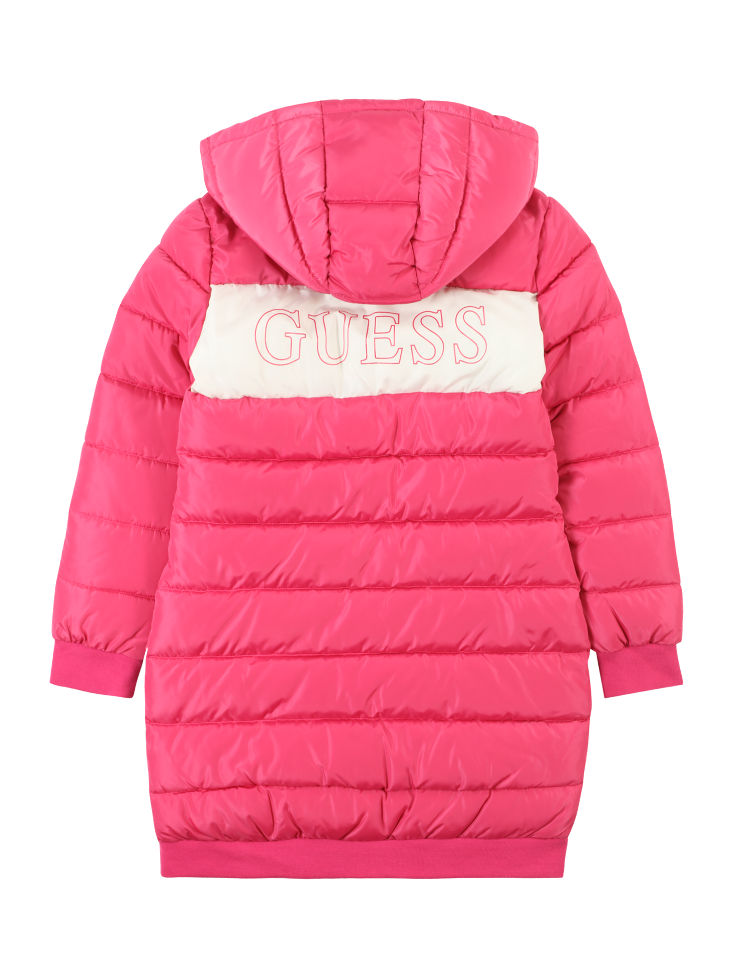 Winter Jacket