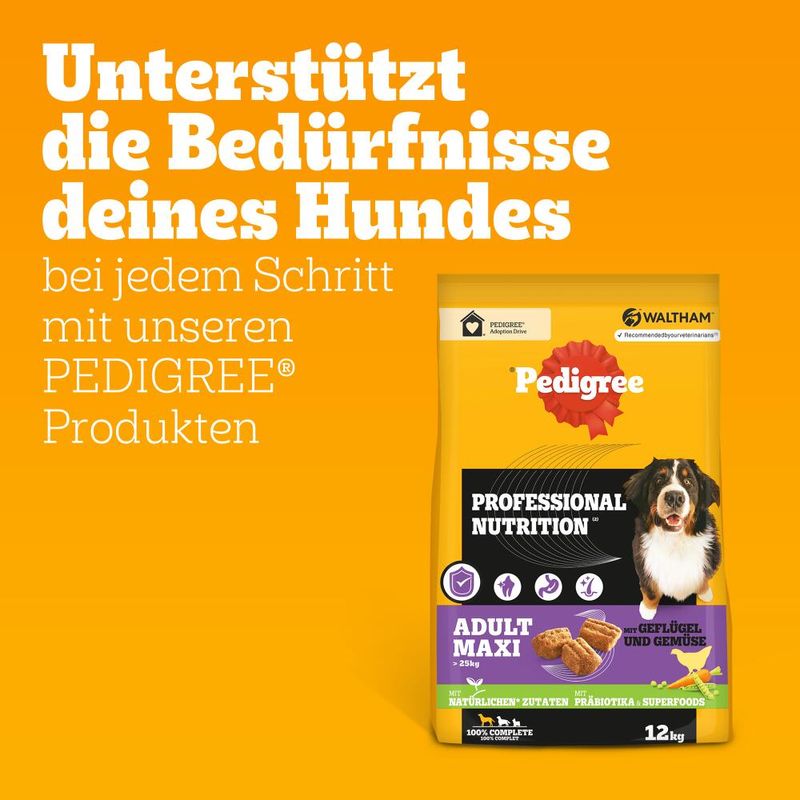 Pedigree Professional Nutrition Adult Maxi >25 kg mit Geflügel & Gemüse