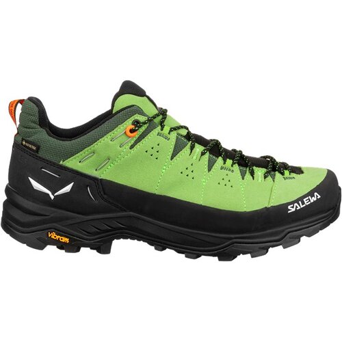 HERREN TREKKINGHALBSCHUHE ALP TRAINER 2 GTX M