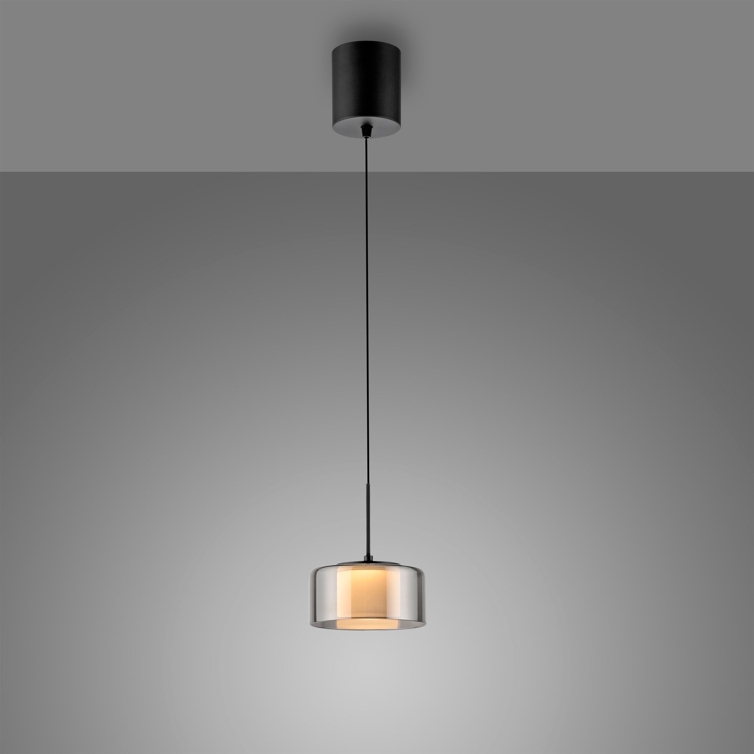 Paul NeuhausLED-Pendelleuchte 1flg