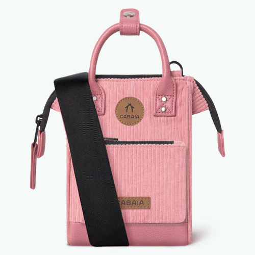 Nano Adventurer Gold Coast rose