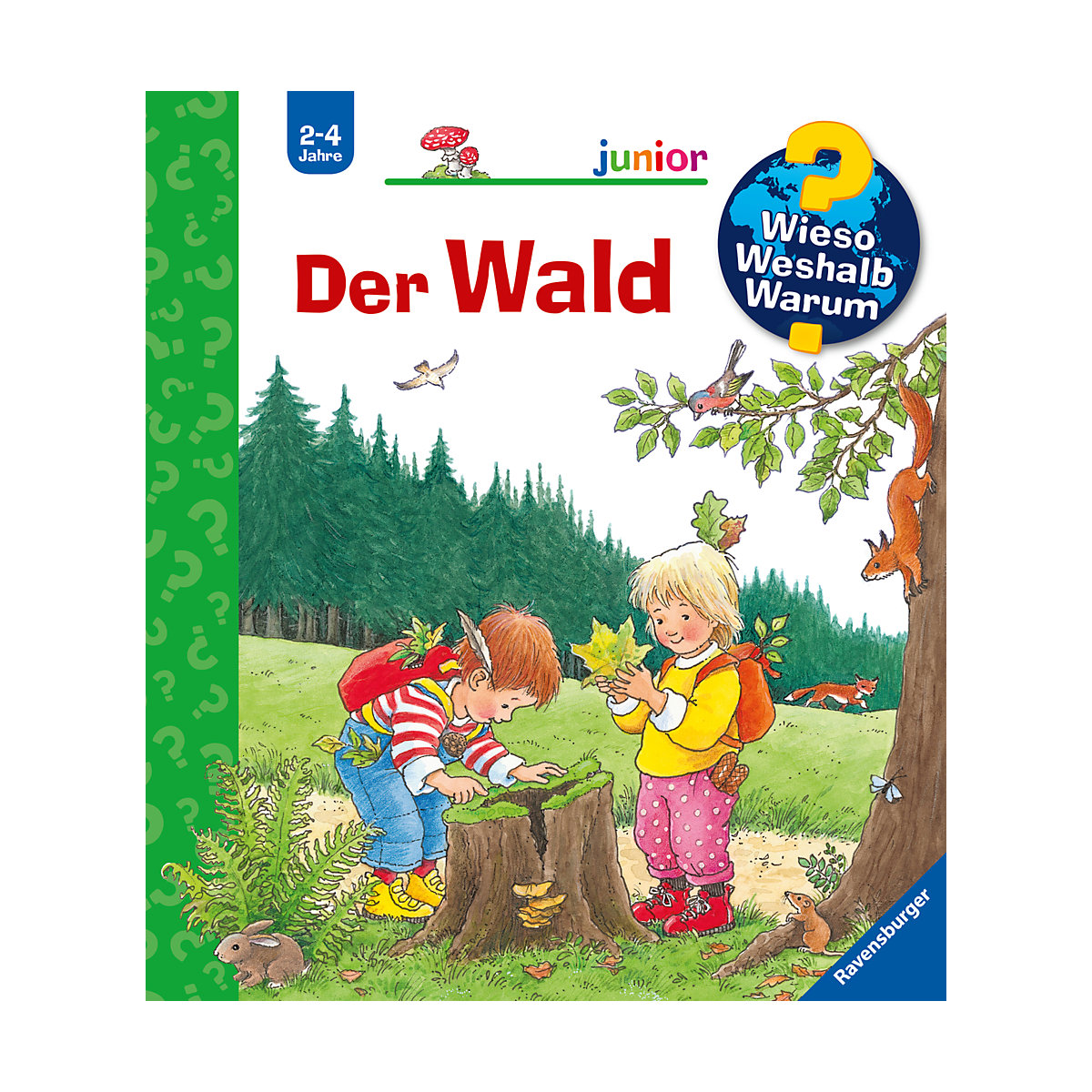 WWW junior Der Wald