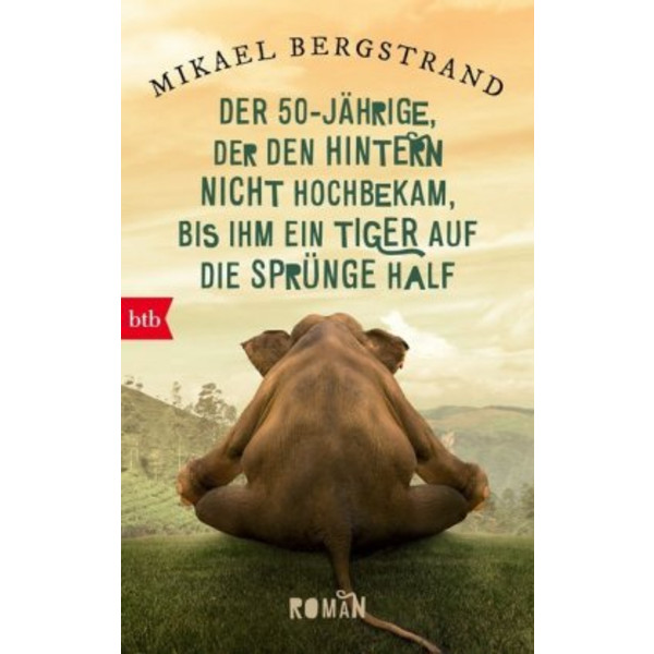 DER FÜNFZIGJÄHRIGE, DER DEN HINTERN NICH - Roman