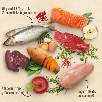 Purizon Lamm mit Lachs Adult - getreidefrei