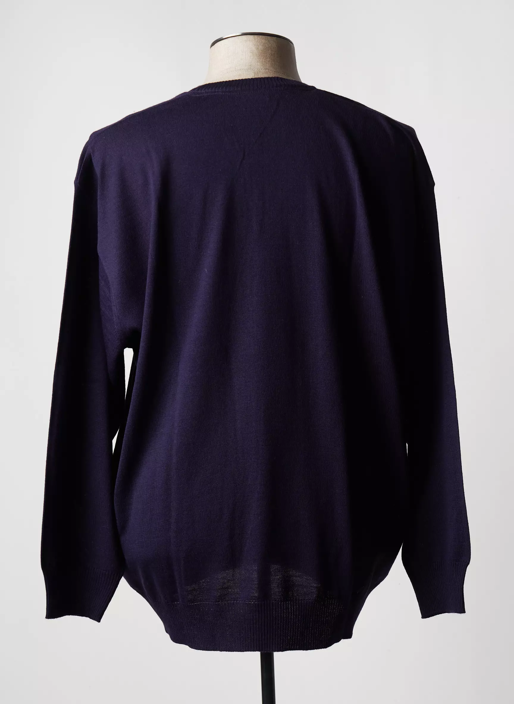 Maxfort Pulls Homme couleur violet