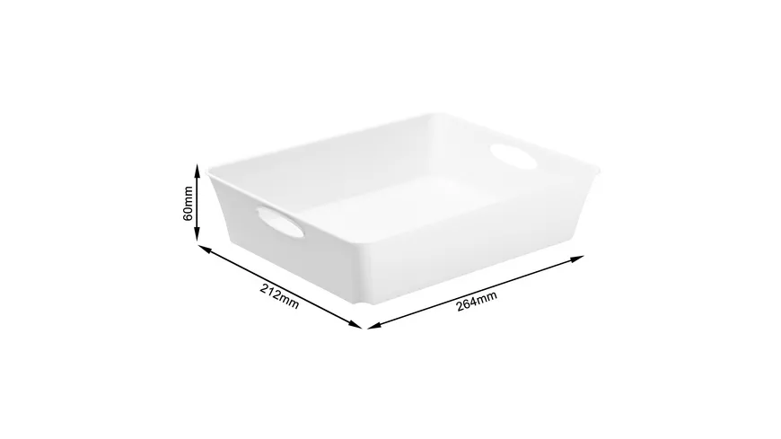rotho Aufbewahrungsbox Livingbox 2,5l weiß
