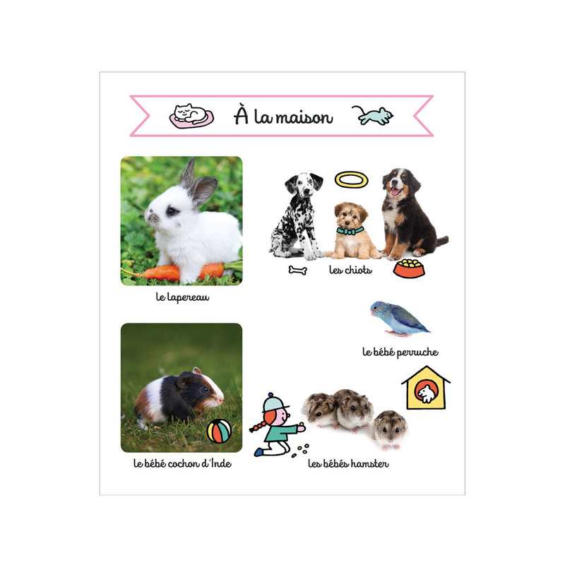 Livre Les Bébés animaux - Larousse Jeunesse