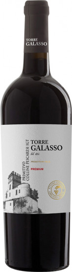 2022 Primitivo Colli Pescaresi IGP - Ettore Galasso