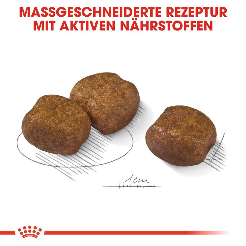 Royal Canin CCN Dental Care Maxi