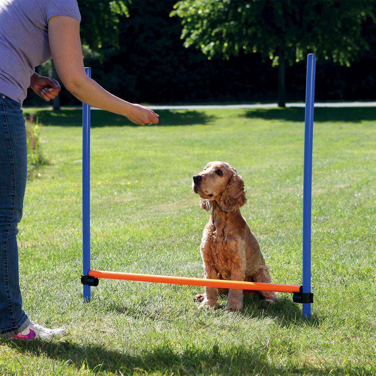 Trixie Dog Activity Agility Hürde günstig kaufen