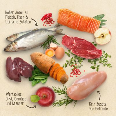 Purizon Large Adult Huhn & Fisch - getreidefrei