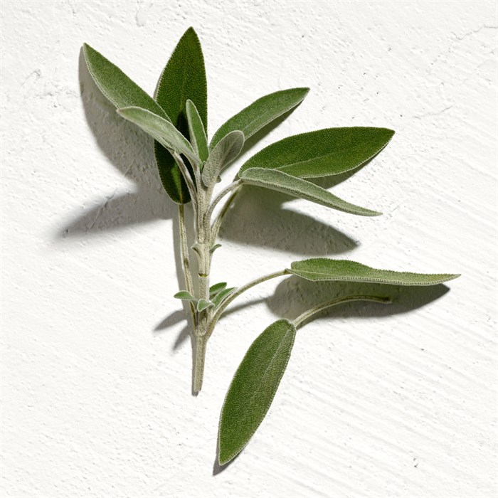 Parfum