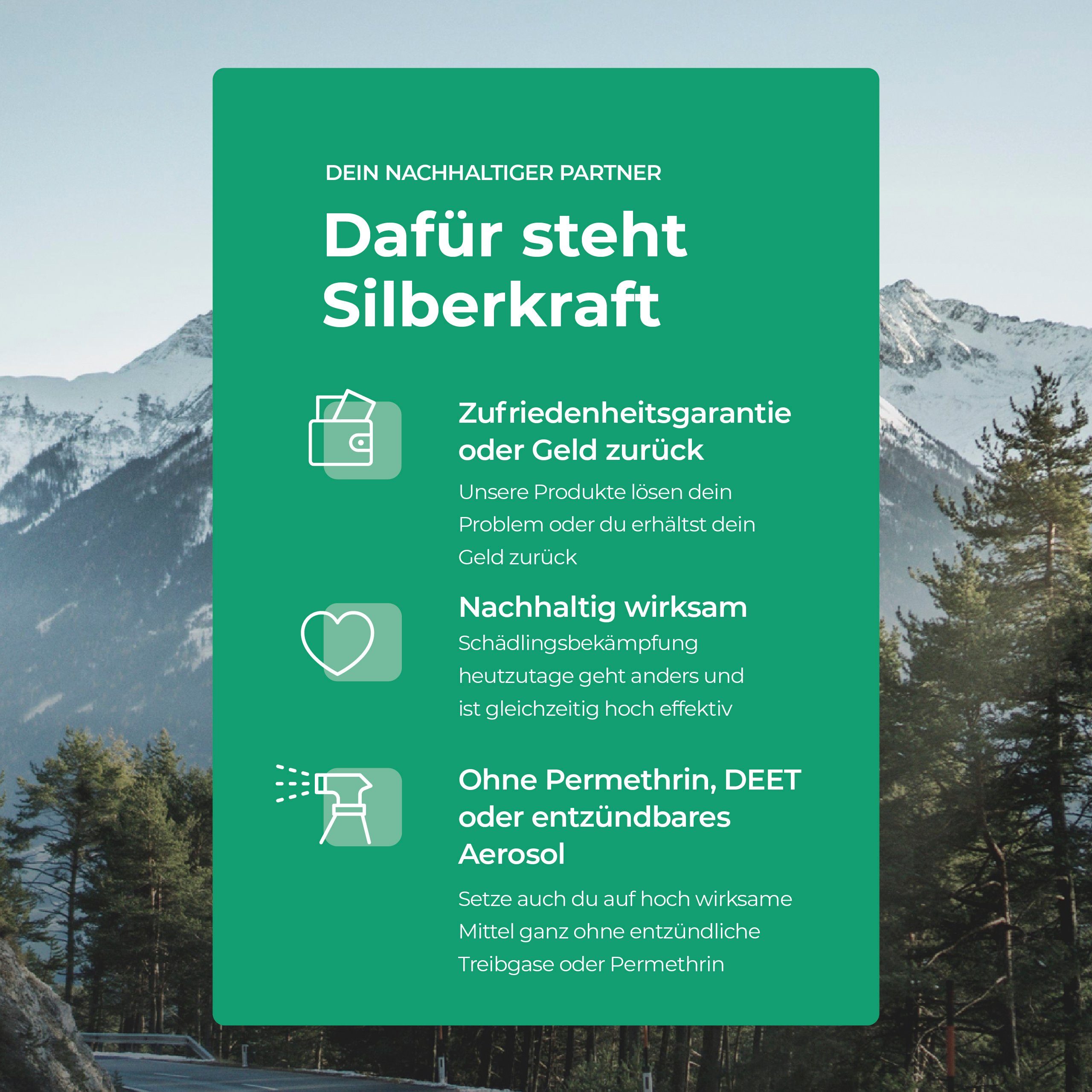 Silberkraft Insektenspray Kopfläusespray, Läuseabwehrspray, 100 ml, 1-St.