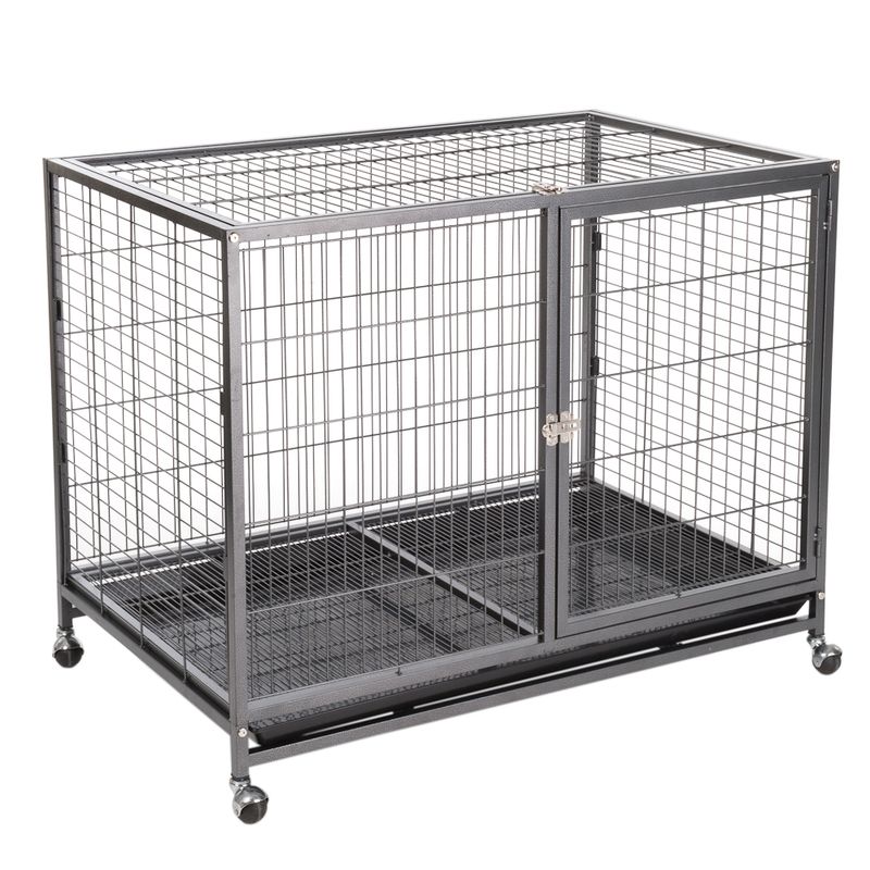 Zimmerkennel Tabby zu TOP-Preisen % | bitiba