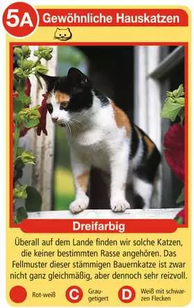 Katzen - Kartenspiel ab 4 Jahren