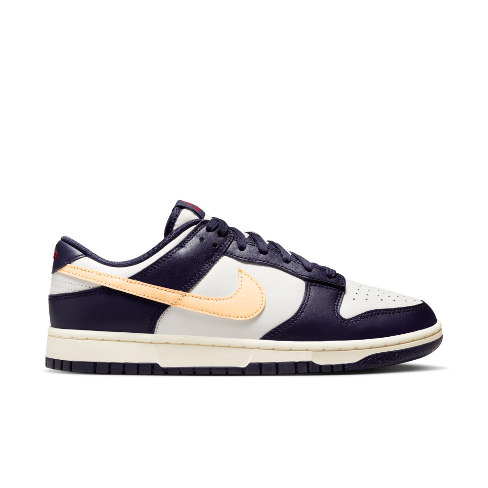 Nike Dunk Low FV8106-181 / blau