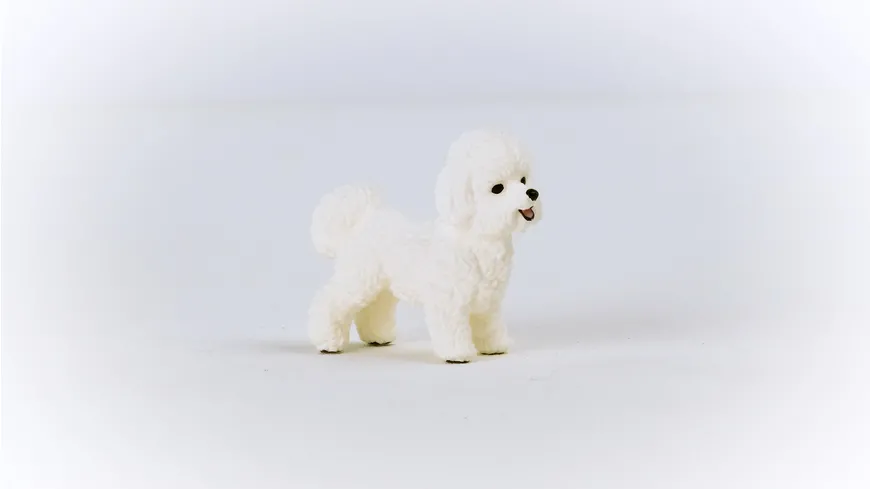 Schleich 13963 - Farm World - Bichon Frisé