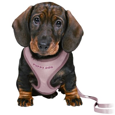 Trixie Junior Welpen-Softgeschirr mit Leine