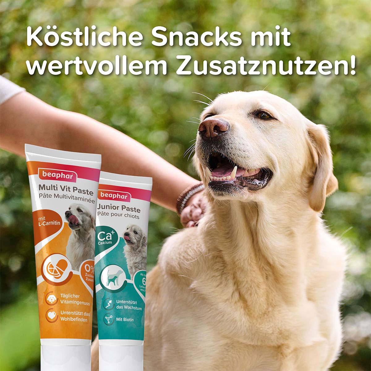 beaphar Multi-Vitamin-Paste für Hunde 250g kaufen bei ZooRoyal