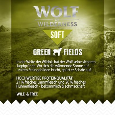 Wolf of Wilderness 