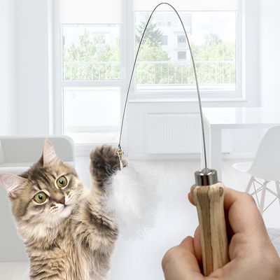 Kater Kasimir Katzenangel mit Federn