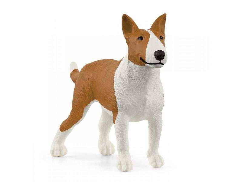 Bull Terrier