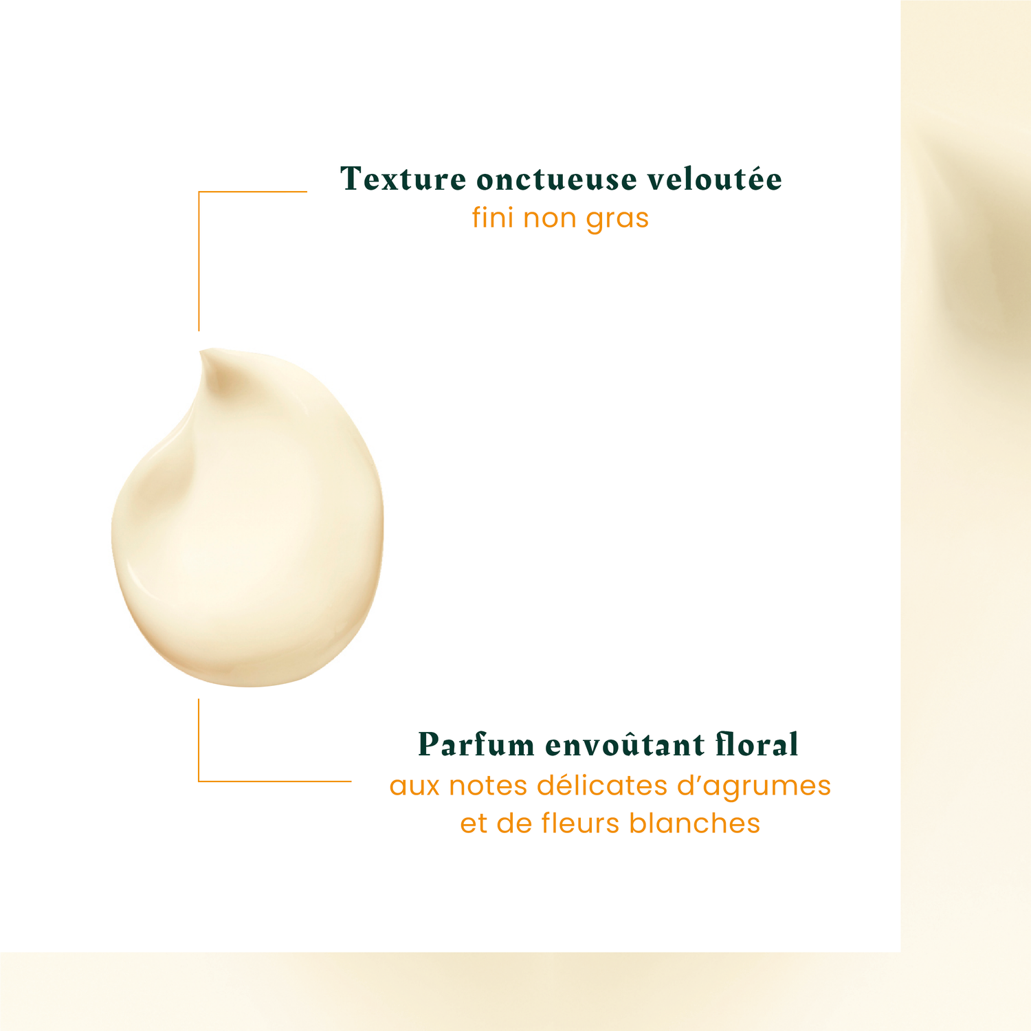 René Furterer Crème Jour Nutrition Intense Karité Nutri - Cheveux secs