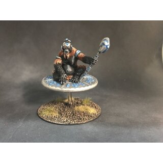 Tamarin Patriarch on Hoverdisc (1)