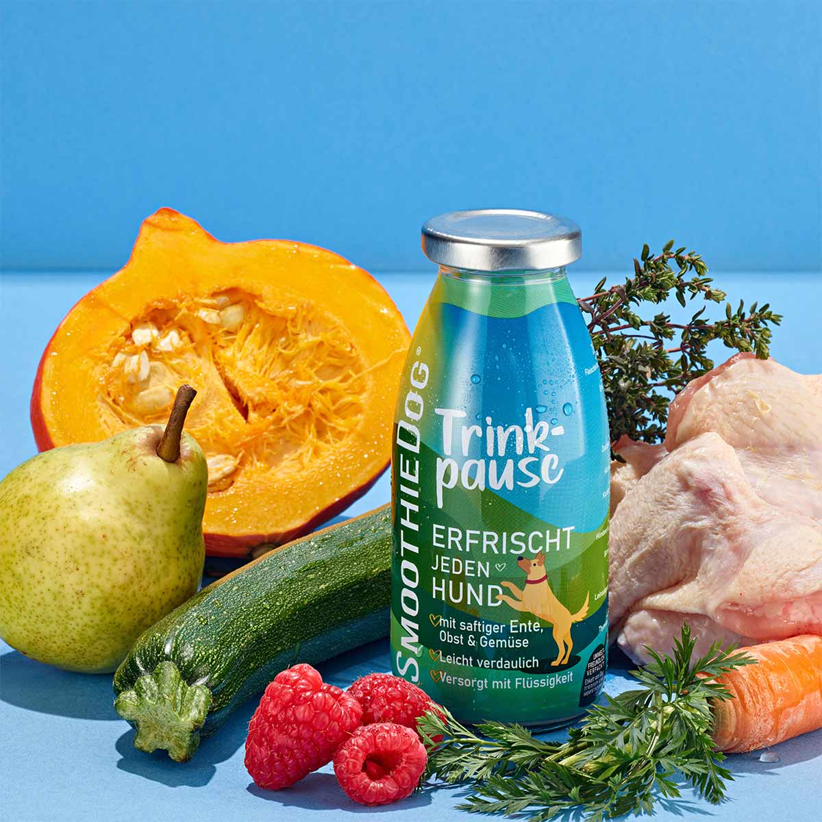 SmoothieDog Trinkpause günstig kaufen bei ZooRoyal