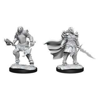 D&D Nolzur's Marvelous Miniatures: Dragonborn Fighter Female (2)