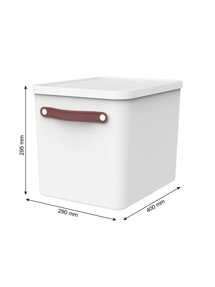 Rotho Set Inbox   Archivbox MY PAPER Plus günstig kaufen onesize