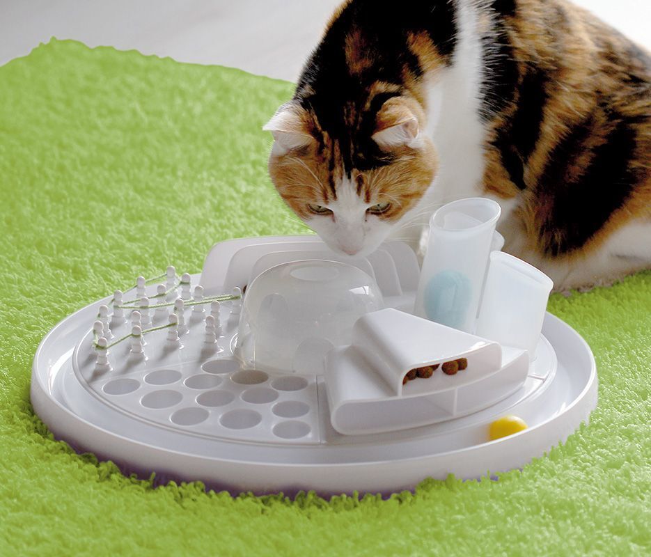Bayer design Intelligenzspielzeug Bayer design Edupet Katzenspielzeug Cat Center